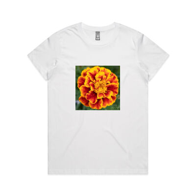 Orange Daisy Ladies T Thumbnail