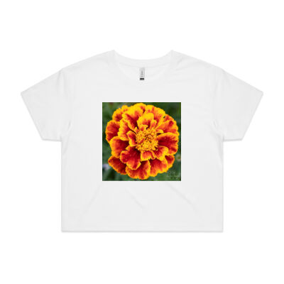 Orange Daisy Ladies T - WS Thumbnail
